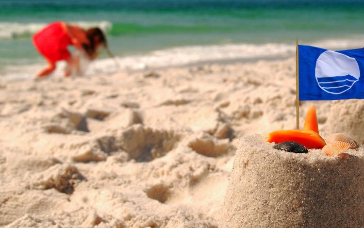 Quisque tristique tempor urna