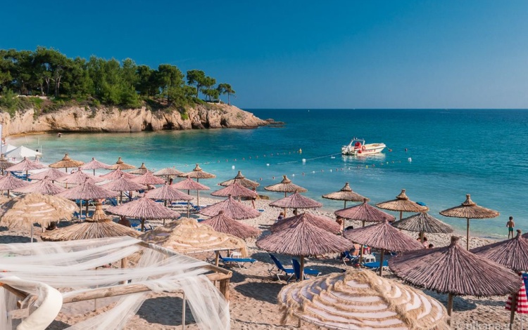 Ut euismod turpis eget fringilla