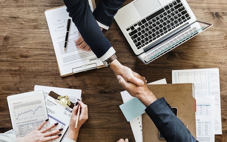 Phasellus maximus quis dui