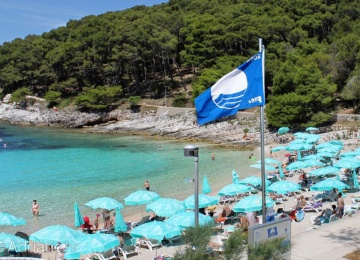 Cras accumsan quam nec susc