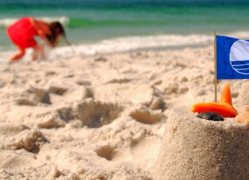 Quisque tristique tempor urna